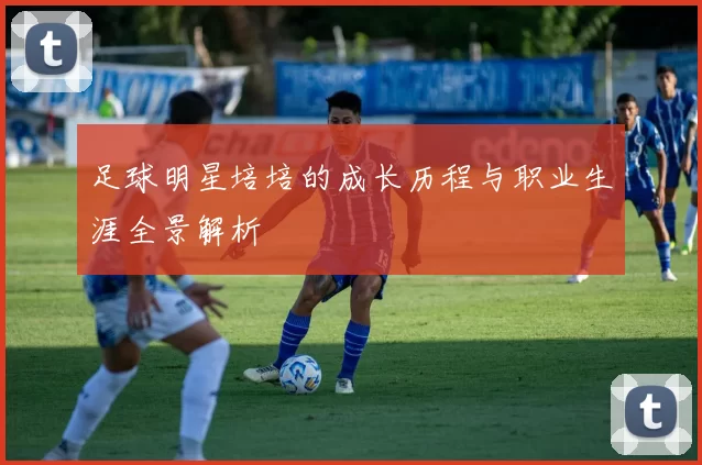 足球明星培培的成长历程与职业生涯全景解析