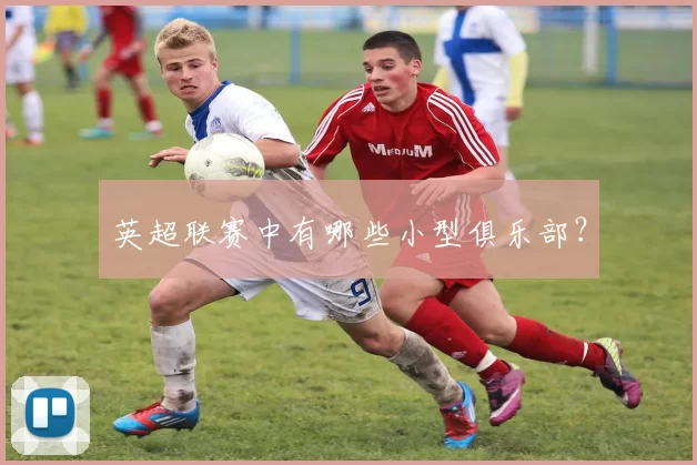 英超联赛中有哪些小型俱乐部？