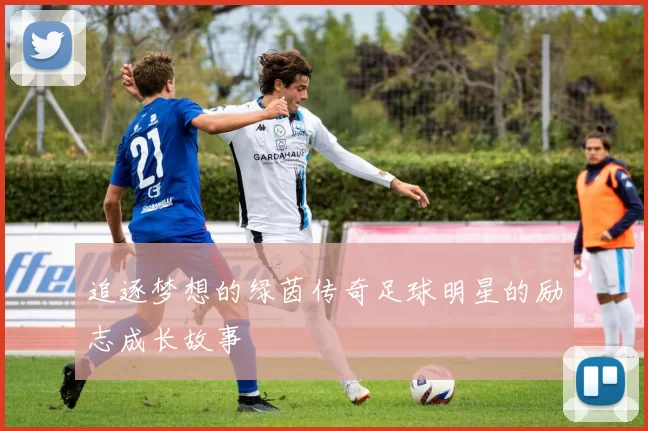 追逐梦想的绿茵传奇足球明星的励志成长故事