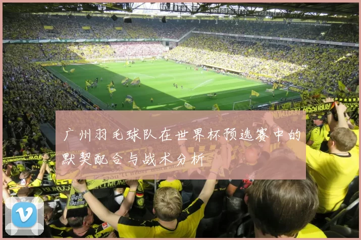 广州羽毛球队在世界杯预选赛中的默契配合与战术分析