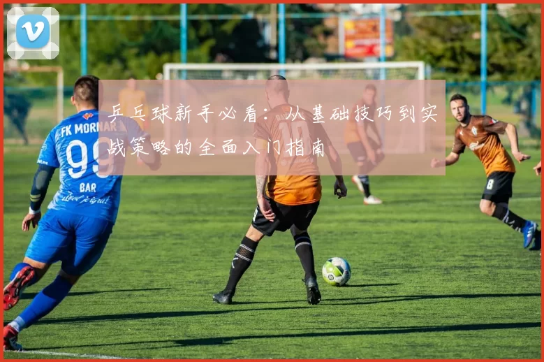乒乓球新手必看：从基础技巧到实战策略的全面入门指南