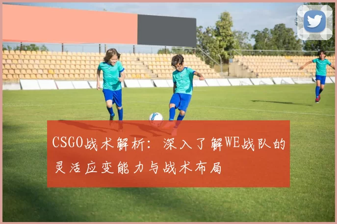CSGO战术解析：深入了解WE战队的灵活应变能力与战术布局