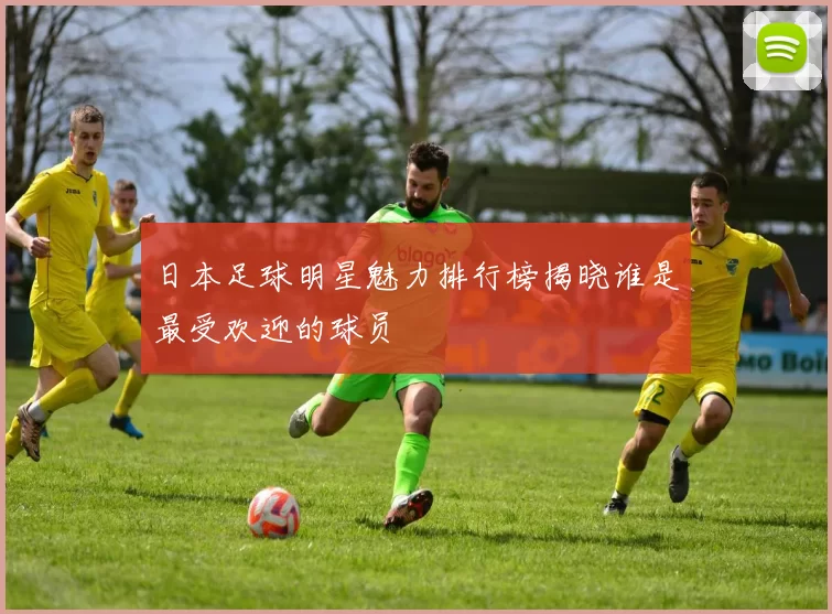 日本足球明星魅力排行榜揭晓谁是最受欢迎的球员