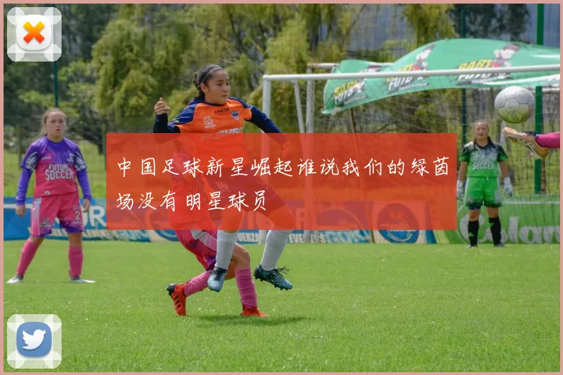 中国足球新星崛起谁说我们的绿茵场没有明星球员