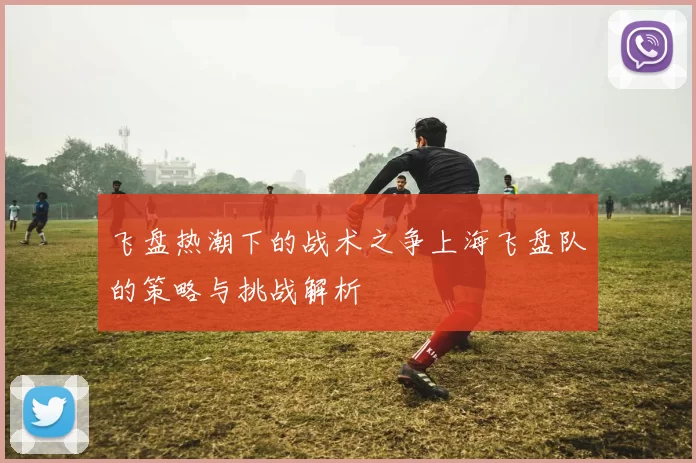飞盘热潮下的战术之争上海飞盘队的策略与挑战解析