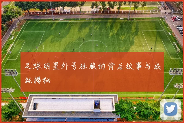 足球明星外号独狼的背后故事与成就揭秘