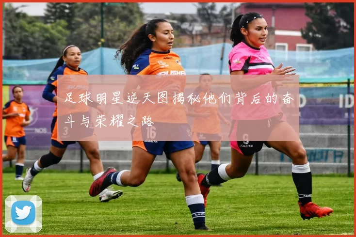 足球明星逆天图揭秘他们背后的奋斗与荣耀之路