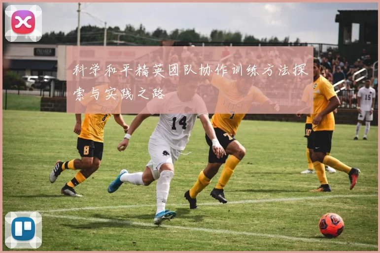 科学和平精英团队协作训练方法探索与实践之路