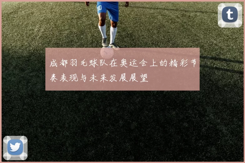 成都羽毛球队在奥运会上的精彩节奏表现与未来发展展望