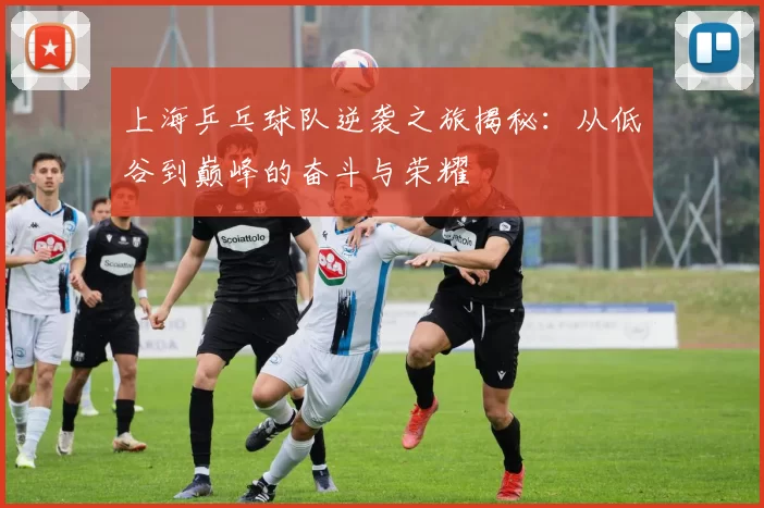 上海乒乓球队逆袭之旅揭秘：从低谷到巅峰的奋斗与荣耀
