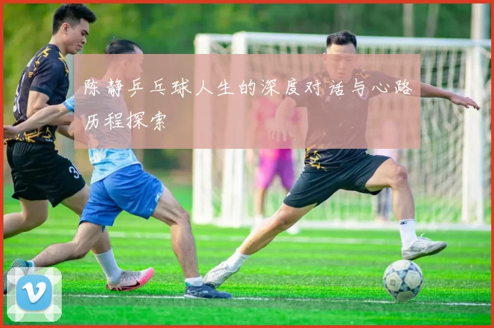 陈静乒乓球人生的深度对话与心路历程探索