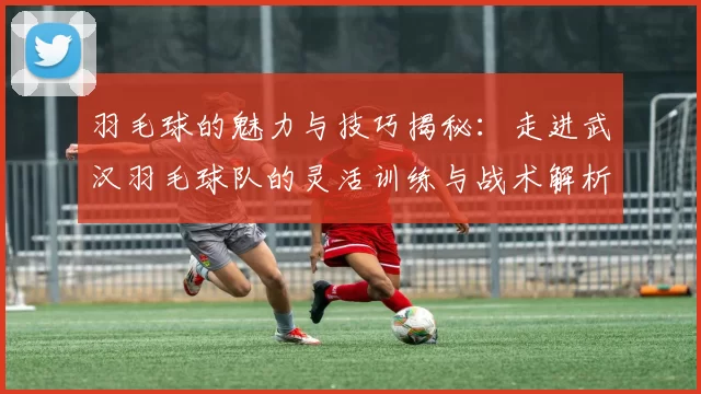 羽毛球的魅力与技巧揭秘：走进武汉羽毛球队的灵活训练与战术解析