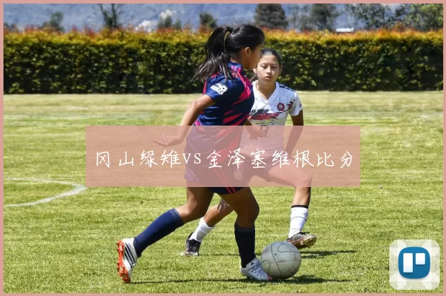 冈山绿雉vs金泽塞维根比分
